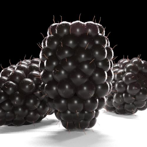 Blackberry Fruit preview image